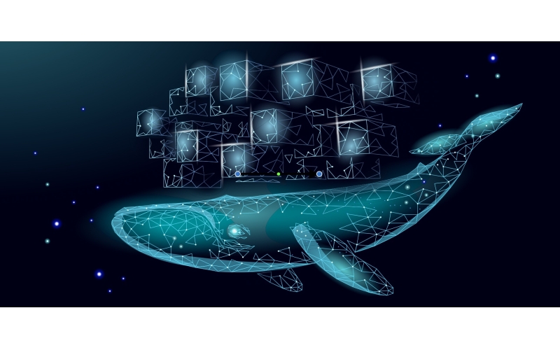 国产亚洲熟妇在线视频科（kē）技“低代碼”新動（dòng）作！聯（lián）合成立互聯互通（tōng）實驗室（shì）+多項榮譽（yù）