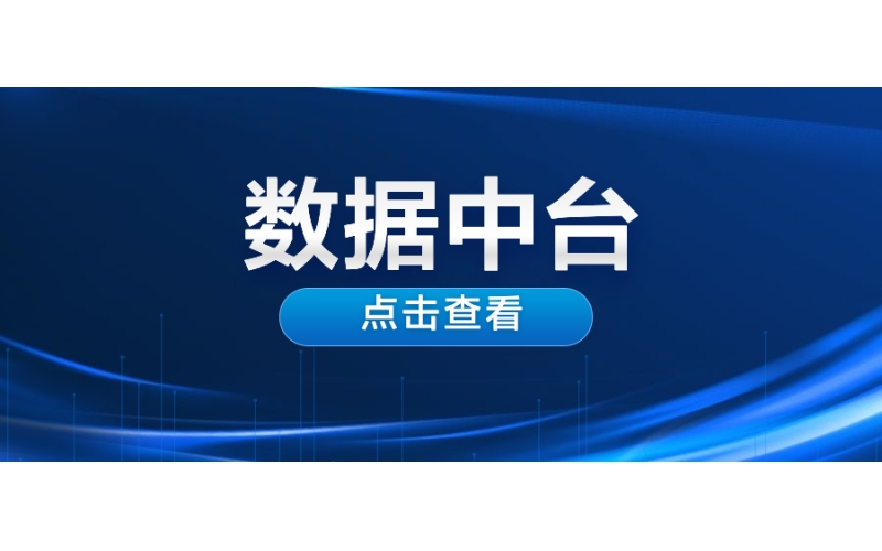 數據（jù）中台(鯨智數據工廠)
