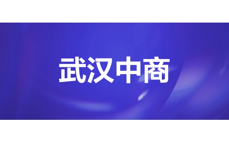 武漢中商：新零售數智化轉型（xíng）