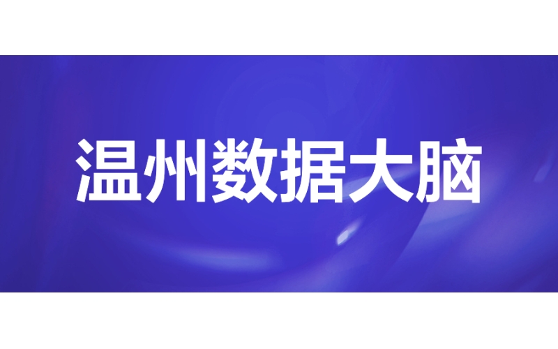 溫州數據大（dà）腦：防汛防台減災（zāi）