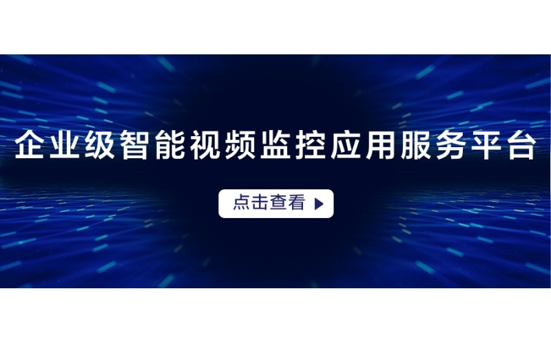 鯨智（zhì）視覺計算平台(Whale VIAAS)